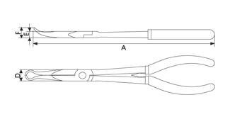 longnose